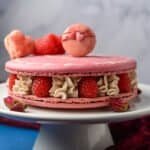 recipe-category